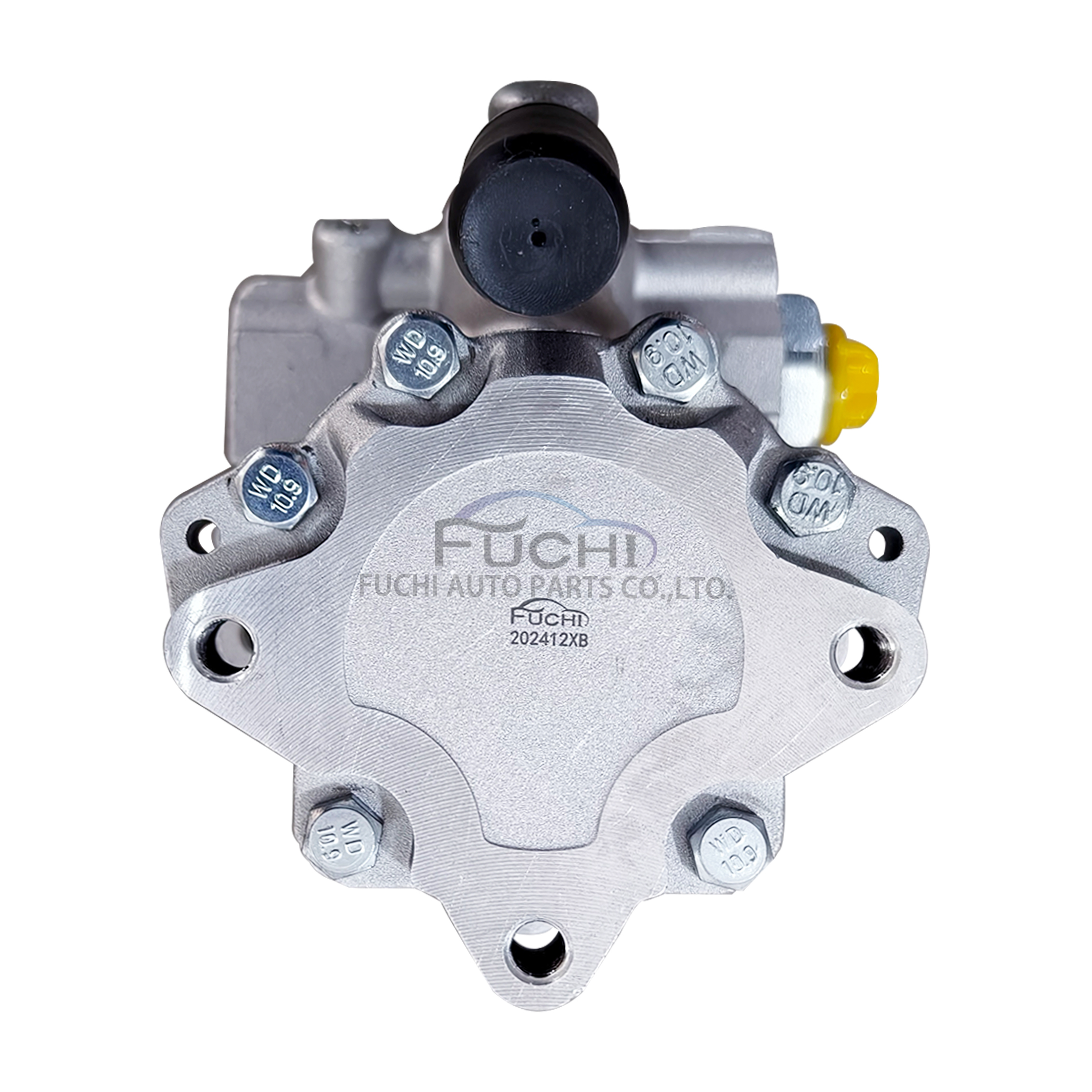 Power Steering Pump OE 32416756582 32416757914 32416757914 for BMW E39 E53 E46 E60 M5 2M54